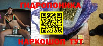 гашик Нальчик