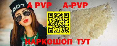 гашик Нальчик