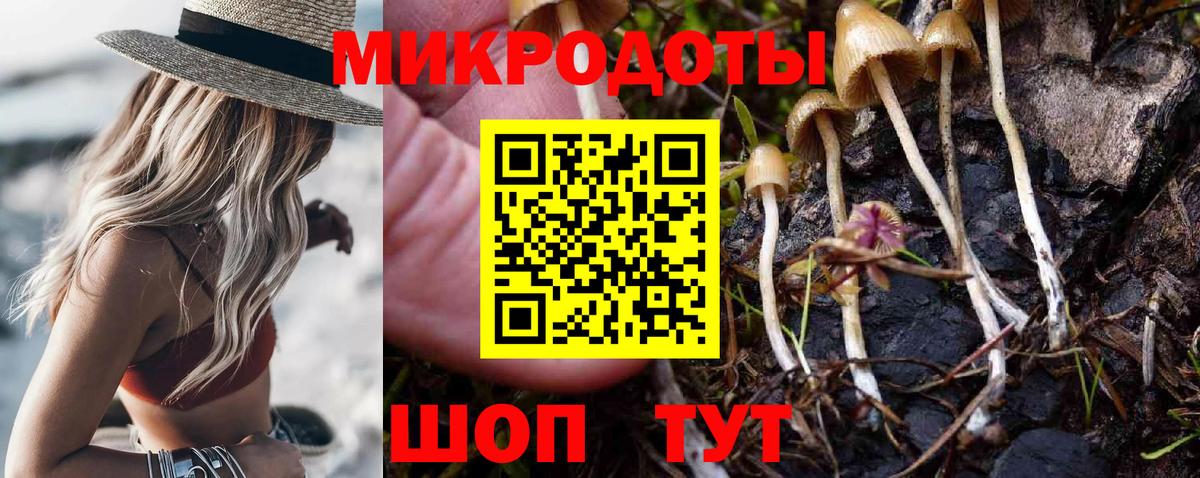 Чита  где купить наркоту  Вход с VPN  Псилоцибиновые грибы ЛСД 